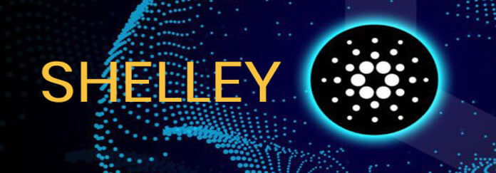 Cardano SHelley