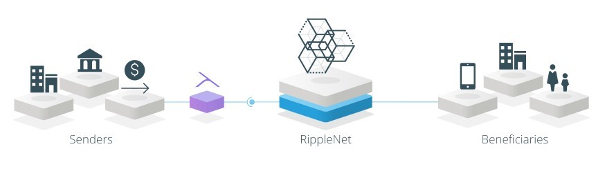 Ripple network