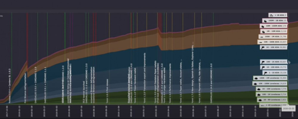 Cardano Whales